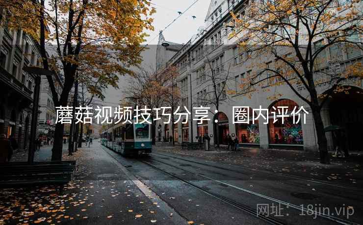 蘑菇视频技巧分享：圈内评价
