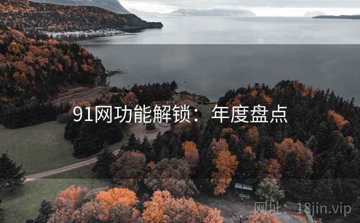 91网功能解锁：年度盘点
